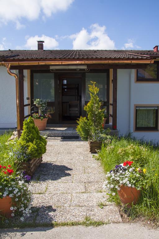 Hotel Alpenblick Berghof Halblech Buitenkant foto